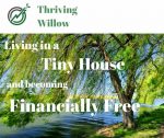 Living financially free in a tiny house