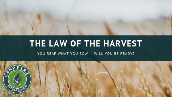 The Law of the Harvest applies to your money as well